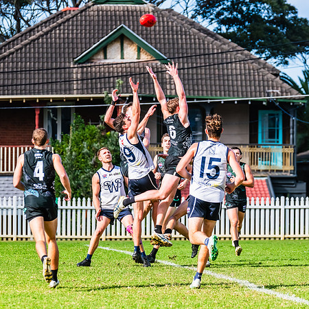 Rd 8 MPD - UTS v SWS - 31 May 2025