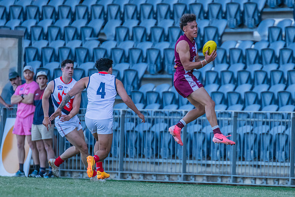 MPD Qualifying Final - Manly-Warringah v Pennant Hills - 31 Augu