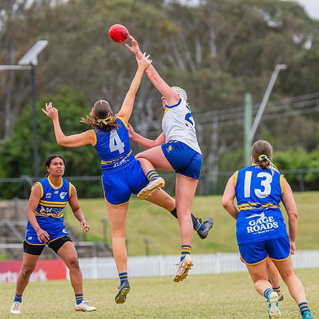 WPD Semi Final - Parramatta v Sydney Uni - 8 September 2024