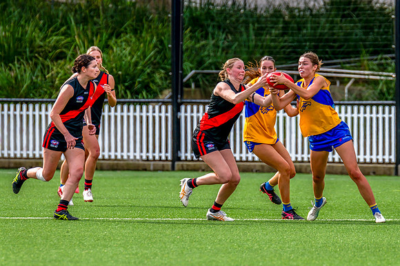 Rd 4 WPD - North Shore v East Coast - 26 April 2025