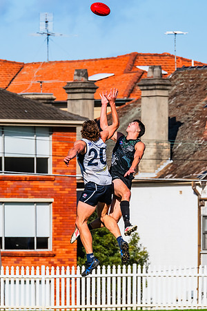Rd 8 MPD - UTS v SWS - 31 May 2025