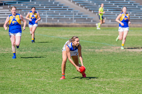 WPD Preliminary Final - East Coast v Sydney University - 21 Augu