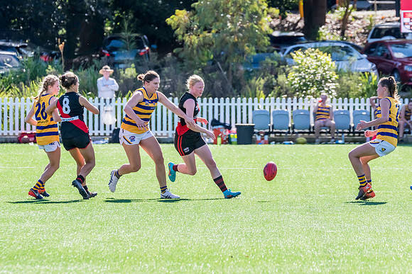 Rd 3 WPD - North Shore v Sydney Uni - 23 April 2022