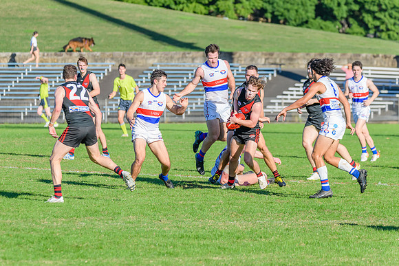 Rd 6 MPD - UNSW ES v North Shore - 14 May 2022