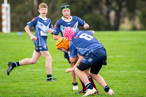 Rd 4 Bloomfield Tigers U13s v Blayney U13s - 24 May 2025