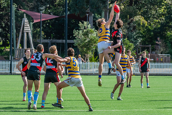 Rd 15 MPD - North Shore v Sydney Uni - 3 August 2024
