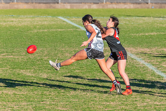 WPD Elimination Final - North Shore v Inner West - 7 August 2022