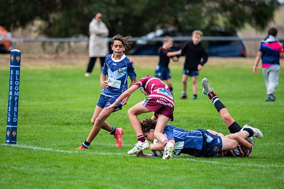 Rd 4 Bloomfield Tigers U13s v Blayney U13s - 24 May 2025