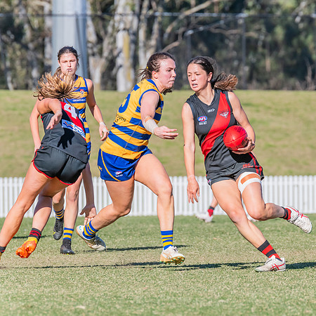 WPD Elimination Final - North Shore v Sydney Uni - 1 September 2