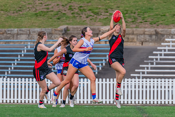 Rd 16 WPD - UNSW-ES v North Shore - 10 August 2024