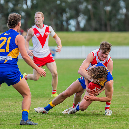 Rd 17 MPD - East Coast v St George - 17 August 2024