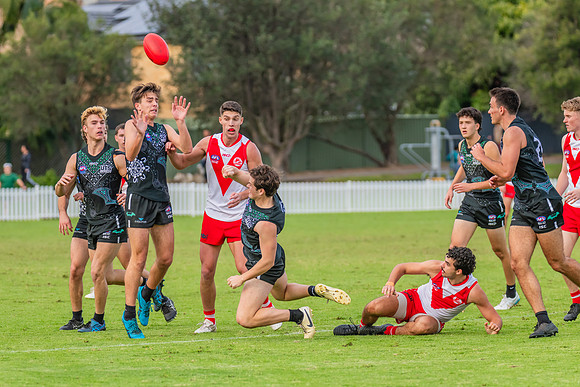 Rd 7 MPD - St George v UTS - 25 May 2024