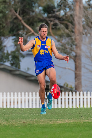 Rd 17 MPD - East Coast v St George - 17 August 2024