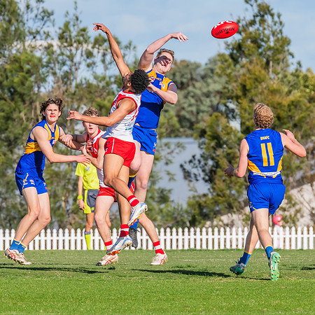 Rd 17 MPD - East Coast v St George - 17 August 2024