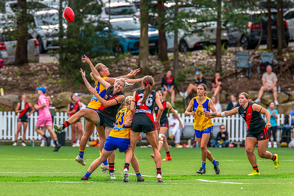Rd 4 WPD - North Shore v East Coast - 26 April 2025