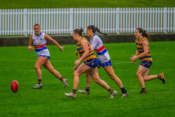 Rd 8 WPD - UNSW-ES v Sydney Uni - 1 June 2024