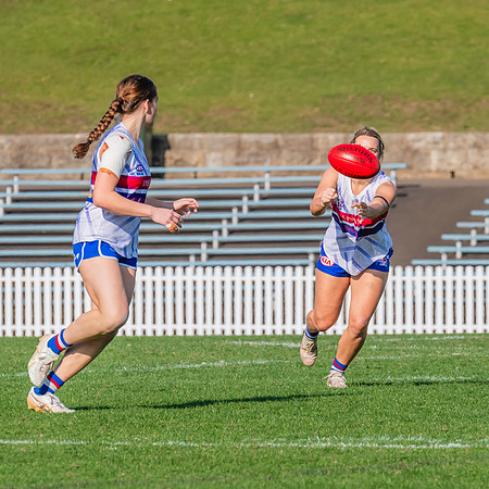 Rd 16 WPD - UNSW-ES v North Shore - 10 August 2024