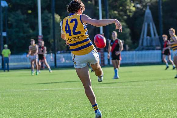 Rd 15 MPD - North Shore v Sydney Uni - 3 August 2024