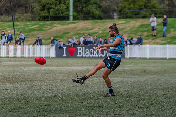 Platinum Div Preliminary Final - Southern Power v Camden Cats -