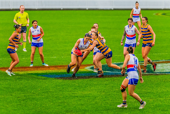 Rd 8 WPD - UNSW-ES v Sydney Uni - 1 June 2024