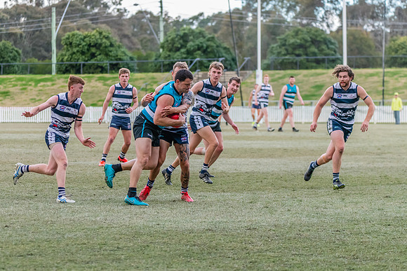 Platinum Div Preliminary Final - Southern Power v Camden Cats -