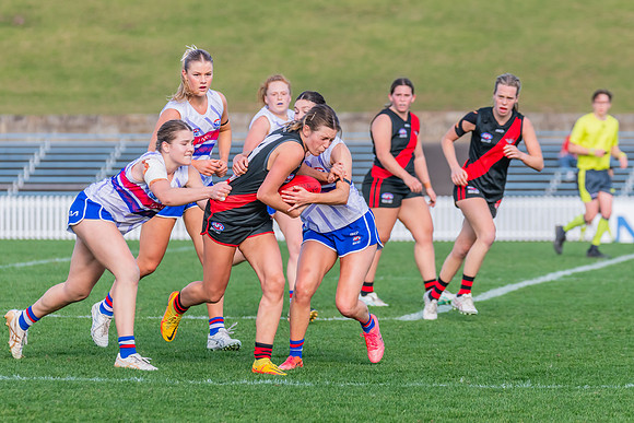 Rd 16 WPD - UNSW-ES v North Shore - 10 August 2024