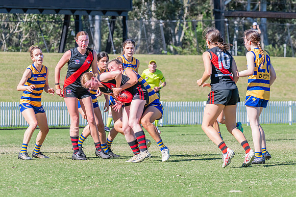 WPD Elimination Final - North Shore v Sydney Uni - 1 September 2