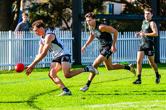 Rd 8 MPD - UTS v SWS - 31 May 2025