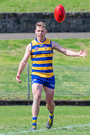 MPD Reserves Major Semi Final - Sydney University v North Shore