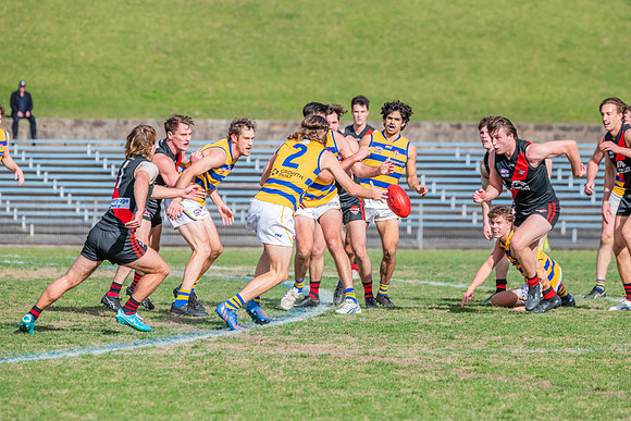 MPD Qualifying Final - North Shore v Sydney University - 20 Augu