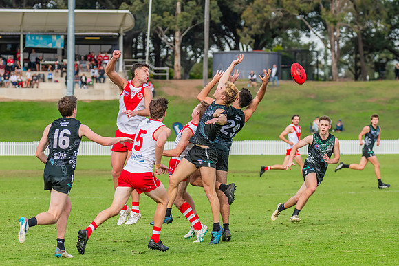 Rd 7 MPD - St George v UTS - 25 May 2024