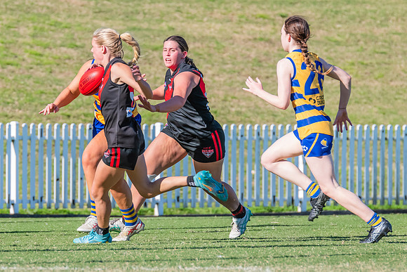 WPD Elimination Final - North Shore v Sydney Uni - 1 September 2