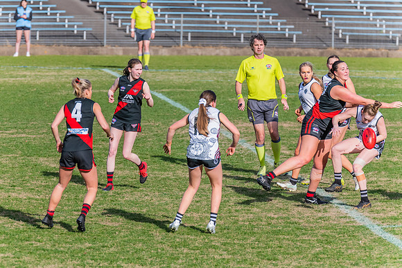 WPD Elimination Final - North Shore v Inner West - 7 August 2022
