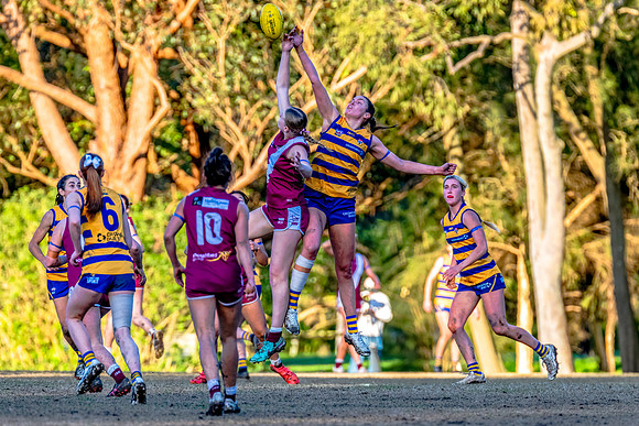 Rd 17 WPD - Manly Warringah v Sydney Uni - 16 August 2025