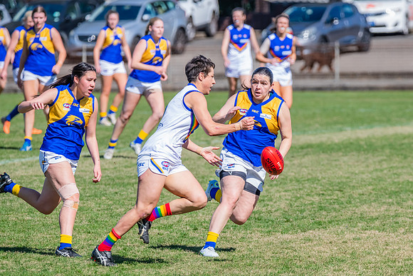 WPD Preliminary Final - East Coast v Sydney University - 21 Augu
