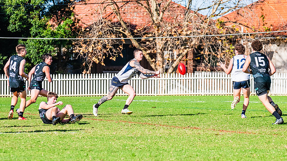 Rd 8 MPD - UTS v SWS - 31 May 2025