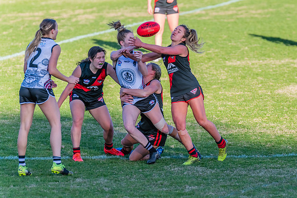 WPD Elimination Final - North Shore v Inner West - 7 August 2022