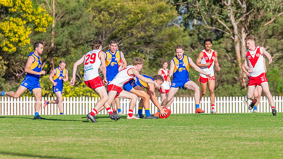 Rd 17 MPD - East Coast v St George - 17 August 2024