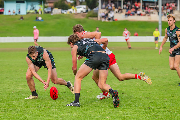 Rd 7 MPD - St George v UTS - 25 May 2024