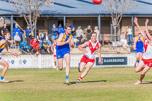 Rd 17 MPD - East Coast v St George - 17 August 2024