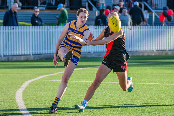 Rd 15 WPD - North Shore v Sydney Uni - 3 August 2024