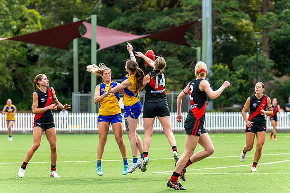 Rd 4 WPD - North Shore v East Coast - 26 April 2025