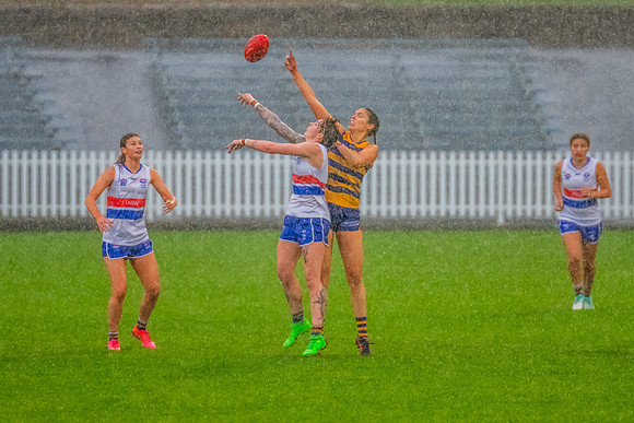 Rd 8 WPD - UNSW-ES v Sydney Uni - 1 June 2024