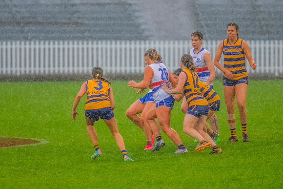 Rd 8 WPD - UNSW-ES v Sydney Uni - 1 June 2024