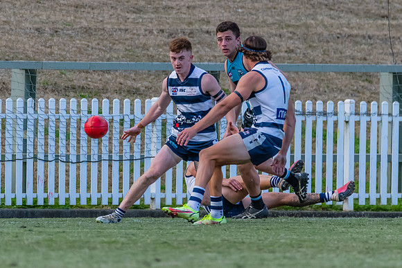 Platinum Div Preliminary Final - Southern Power v Camden Cats -