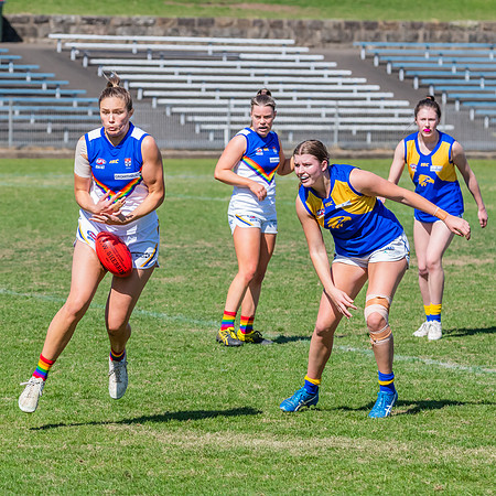 WPD Preliminary Final - East Coast v Sydney University - 21 Augu