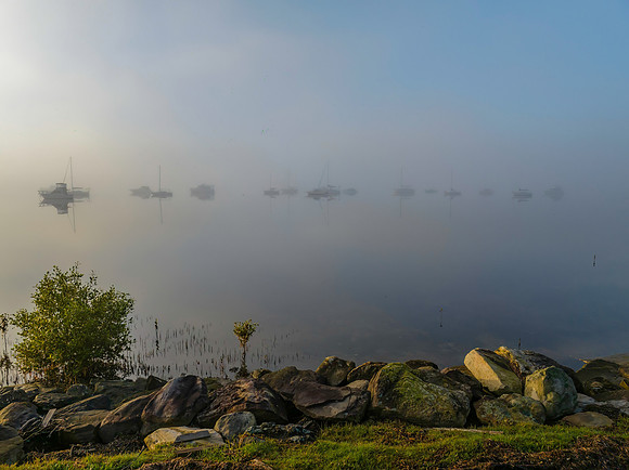 Boats in the fog