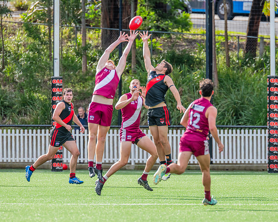 Rd 1 MPD - North Shore v Manly Warringah - 8 June 2024