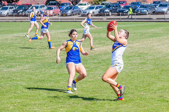 WPD Preliminary Final - East Coast v Sydney University - 21 Augu