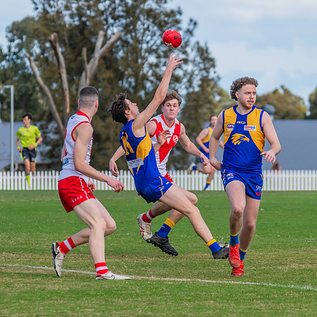 Rd 17 MPD - East Coast v St George - 17 August 2024